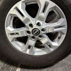 Rin  Original Para Frontier 17