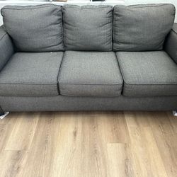 Sleeper Sofa/couch