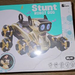 Stunt Robot Dog 