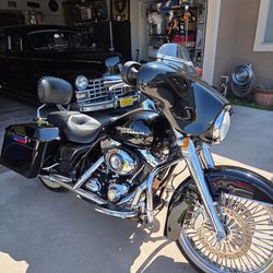 Beloved beautiful Harley