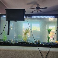 FULLY FUNCTIONING FISH TANK 55 Gals with Accessories  & Cleaning Kit