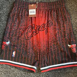 Brand new with tags Mitchell and Ness Chicago Bulls shorts Size large 