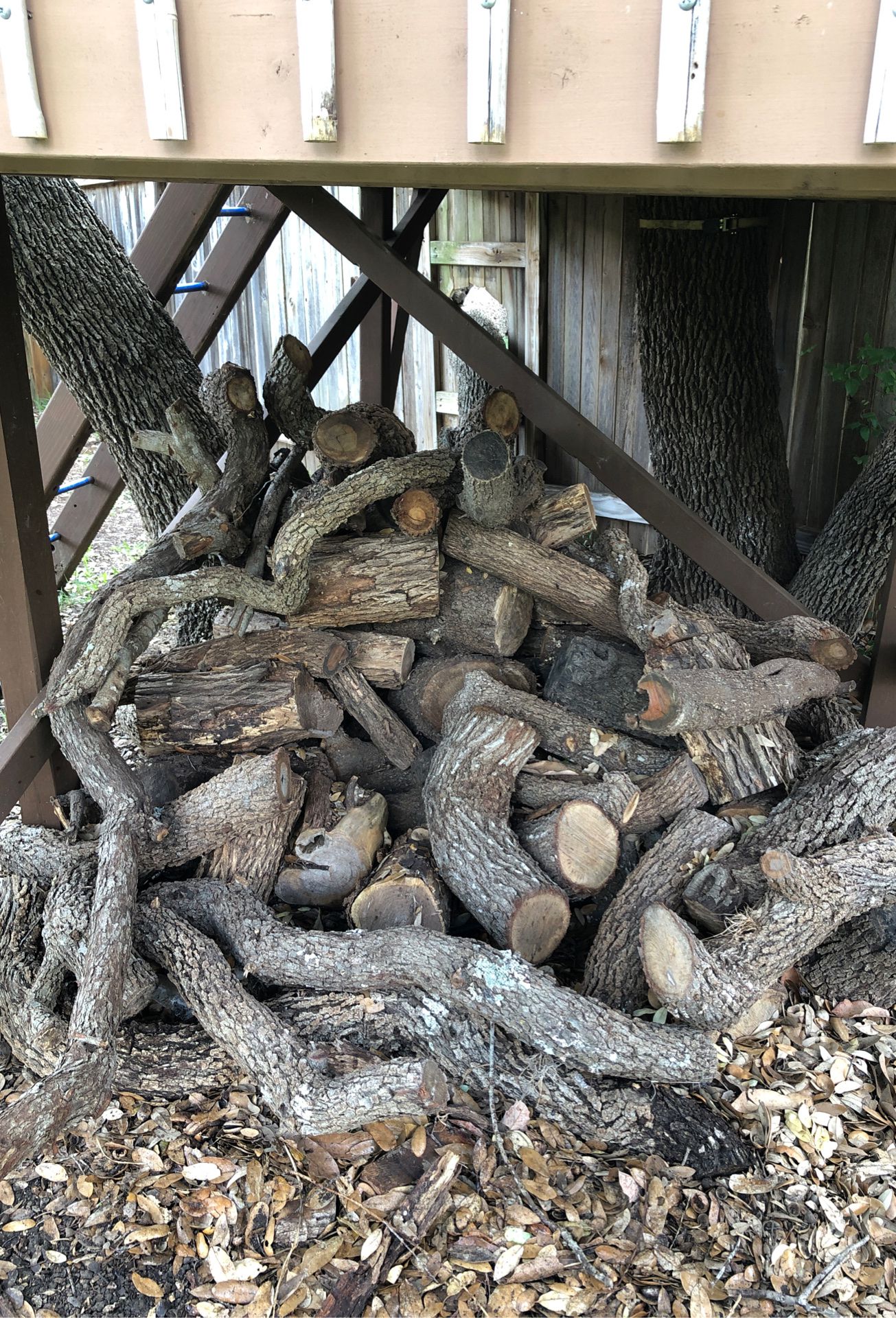 Free oak wood
