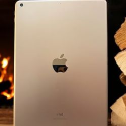Apple iPad 7th Generation MODEL: A2197

