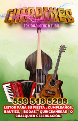 Grupo con acordeon y tololoche