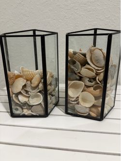 Shells