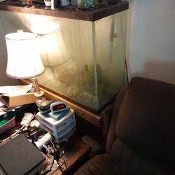 45 Gal Tall Aquarium With Stand