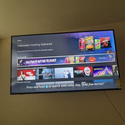 BRAND NEW 65 INCH 