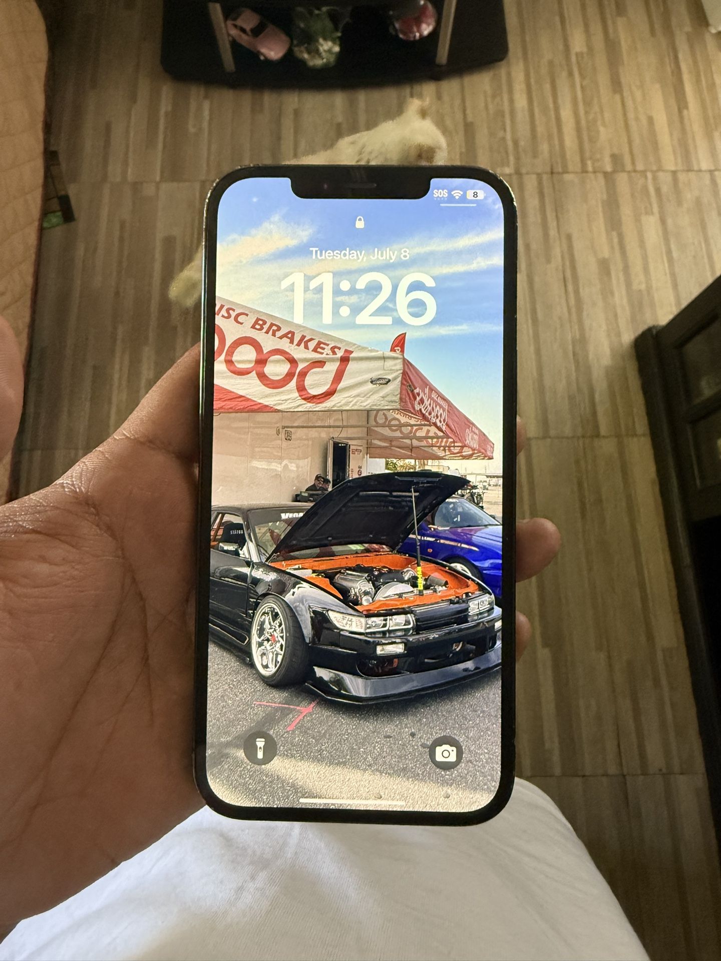 iPhone 12 Pro Max