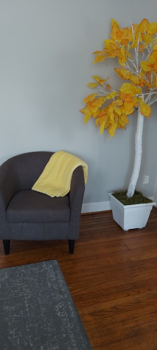2 Arm Chairs