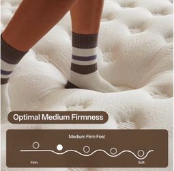 Rakoide 12 Inch Queen Mattress