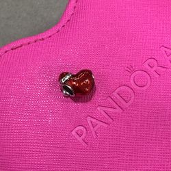 Charm 925 Silver For Pandora Bracelet 