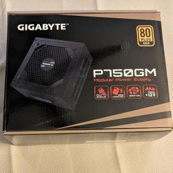 GIGABYTE GP-P750GM 750 W ATX 12V V2.31 80 PLUS GOLD Certified Full Modular Active PFC Power Supply
