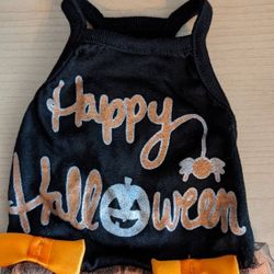 Dog Clothes (Halloween)