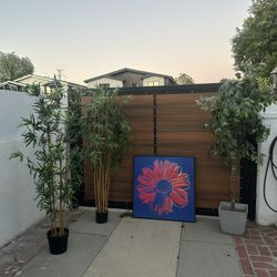 Plants 