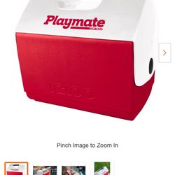  IGLOO Playmate Elite 16 qt. Hard Cooler