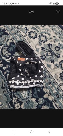 Cat  and dog harness with Leash  medium