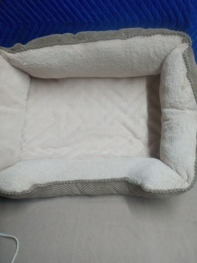 Dog Or Cat Beds