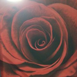 Rose Painting
