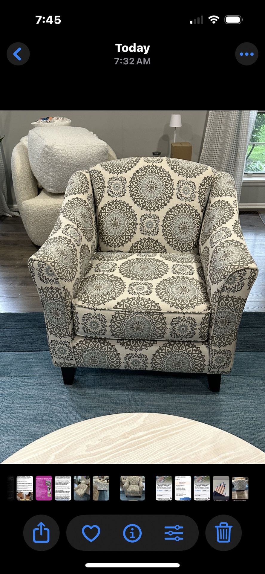 Living Room Chair