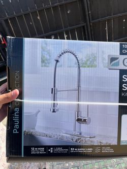 Kitchen faucet