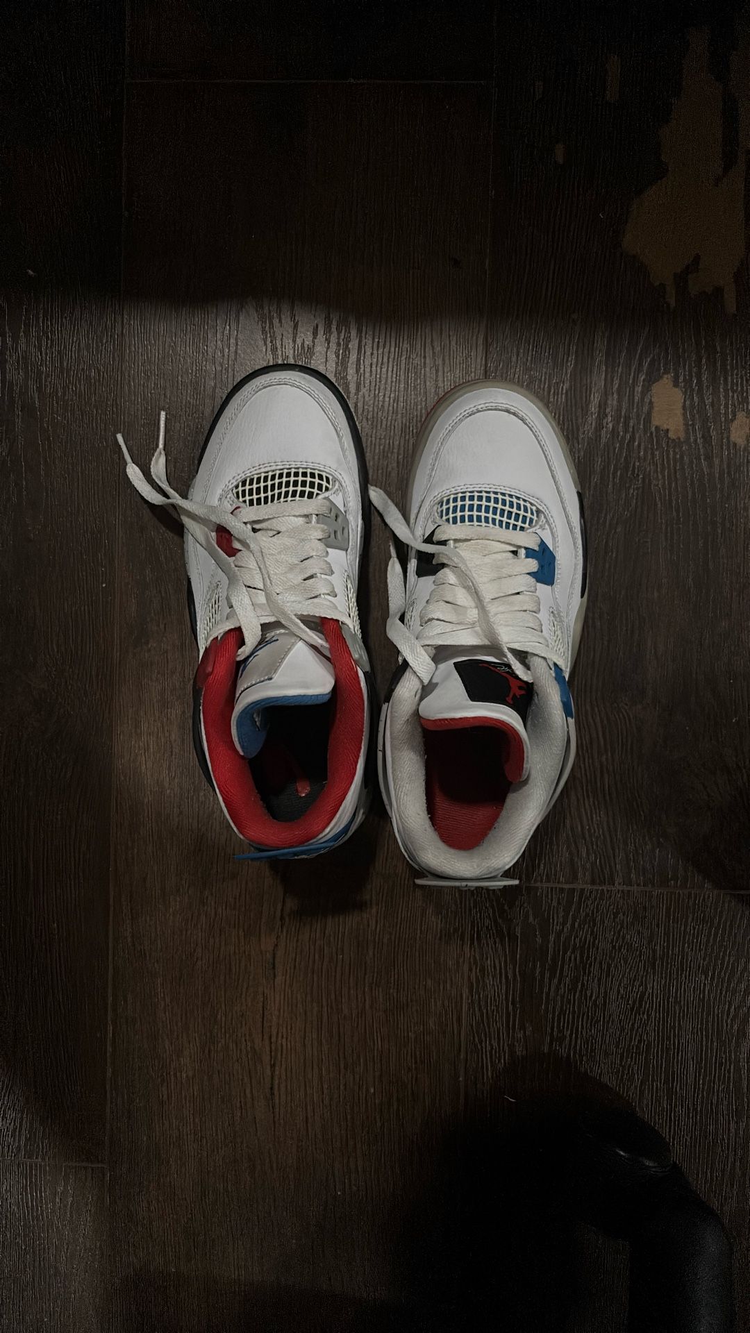 Jordan 4 Retro What The (GS)