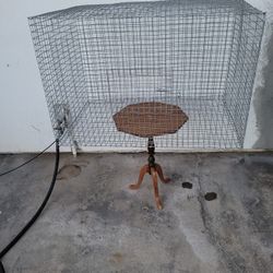 Bird cages 
