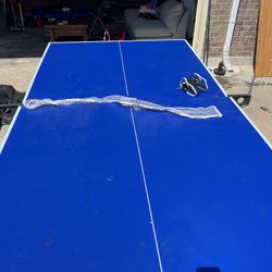Ping Pong Table