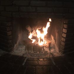 Eucalyptus Fire Wood 