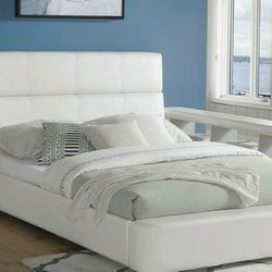 Queen Bed frame - Liquidation