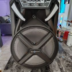 Portable Bluetooth Stereo