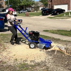 Stump Grinding Stump Removal 