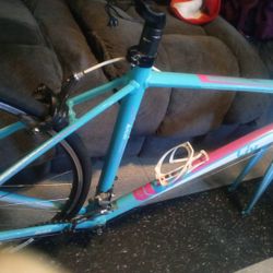 Bike Frame $100