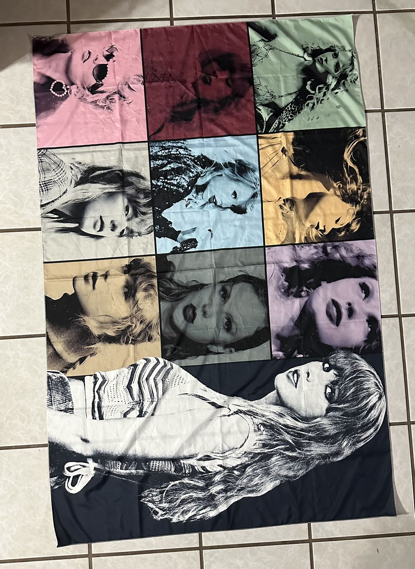 Large 5’ X 3’ Taylor Swift Wall Cloth Poster