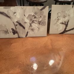 Set Of Three Pictures In Canvas!