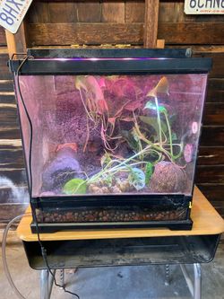 Exo terra vivarium terrarium cube 18x18x18
