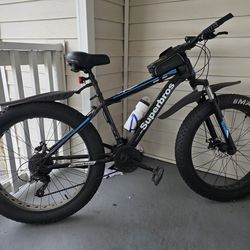 Fat bike 26