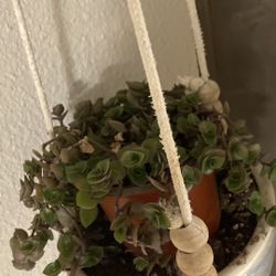 Hanging Porcelain Blue And White Pot For Plant