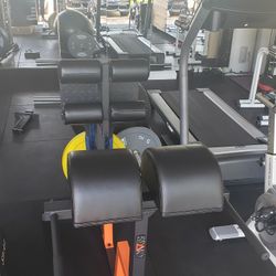 Glutes And Hamstring Developer / Fitness Equipment / GHD