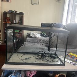 Fish Tank And Stuff