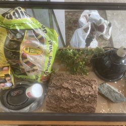Reptile Tank