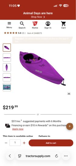 Kayak with Paddle