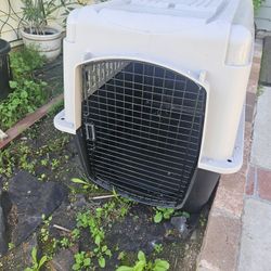 Pet Carrier/Kennel (Medium-Large)