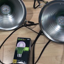 Two Lamps With 2 Grow Light Bulbs 9watt