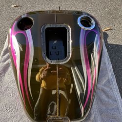 Softail  Tins New Harley 