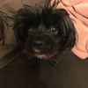 Molly