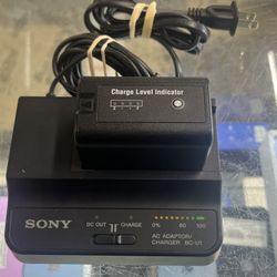 Sony BC-U1A Battery Charger AC Adapter with 1 BP U-30 Watson B-4231 Battery