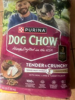 Dog food