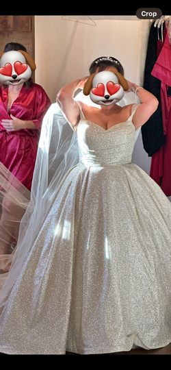 Shimmery Champagne Color Cathedral Veil