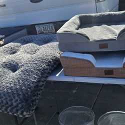 New Dog Beds Just Came In
